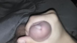 Solo male