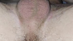 Axel Puppy Paws Himself On Cam