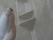 Kitty's bubble bath fun - Screenshot 4 of 16 - Feet