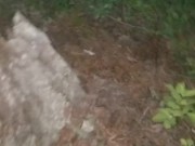 Late Night Piss In Woods