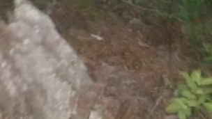 Late Night Piss In Woods
