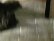 Squirting - Screenshot 7 of 16 - HD
