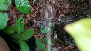 Good Morning Piss On Tree