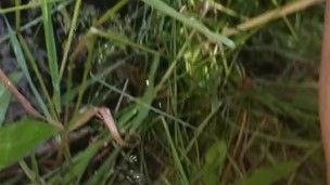 Short Girl Public Piss In Creek Outside