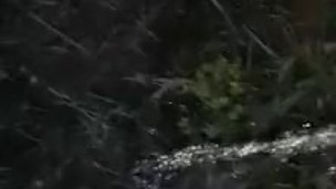 Peeing in the nature