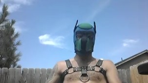 Puphunter edge sounding teaser