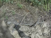 masturbate and cum on the back of a fisherwoman 16/16