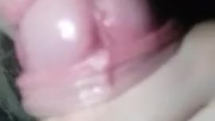 cutie licks dick and sucks