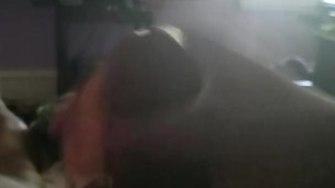 Late Morning cum