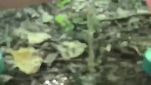 Big Titted Slut in a Bikini Caught Peeing Massive Stream in PUBLIC