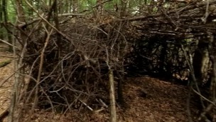 Walking around topless in a forest and masturbating under a wooden shelter