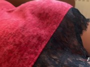 Caresses pussy and fucks mistress with beautiful ass at home 2/16