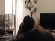 Black Bull Cumming