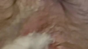 Bored at home: Toying my creamy boipussy
