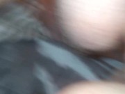 Naughty little squirting kitten