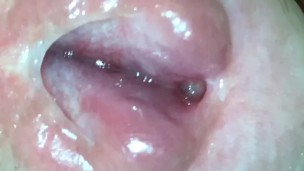 Inside My Cock - Part 1