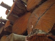 Ginger Redhead Forest Run ended in Dripping Hairy Pussy Outdoor Creampie 15/16