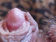 HARD BIG CLITORIS IN EXTREME CLOSE UP HD