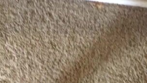Long jerkoff session ends with load on mirror