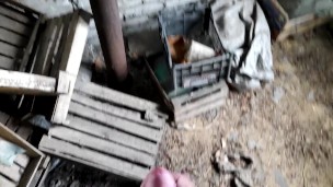 risky jerk off at the grandfather's barn