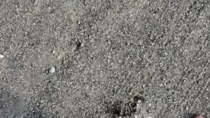 Short Country Girl Pissing On Dirt Road On Walk Home