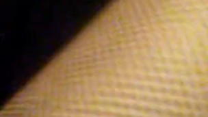 Frisky in fishnets