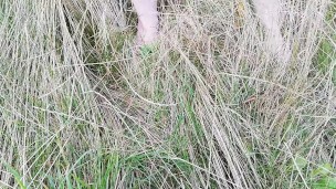Fun in the tall grass