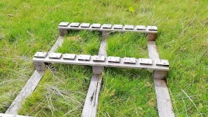 Walking on wood 2
