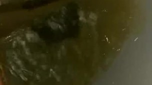 Thicc BBW pee compilation of.2