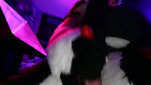 Police Dog Cumshot