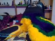 Play whit seahorse