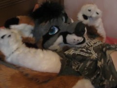 Gay Furry Paw Porn - Furry Paws Videos and Gay Porn Movies :: PornMD