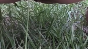 Pissing on the farm