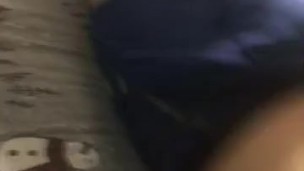 Young cock