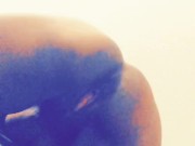 Whole lotta ASS