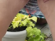 Pissing in public couldn't hold it