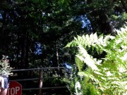 Happy Nerd Pisses At Sundown 12/16