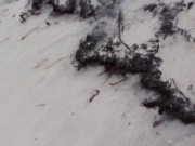 Lady of the Lake Explore the Realm Blush Novelties OmankoVivi Promo Vid 11/16