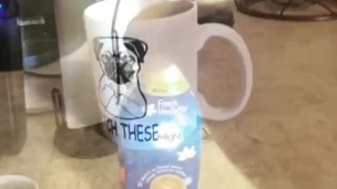 Nice Cup of Sex