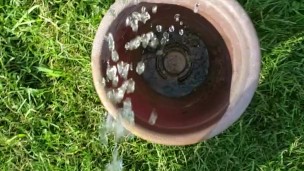Girl Fills Planter With Piss Outside