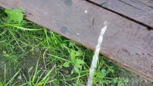Girl Can't Wait To Get Inside To Piss