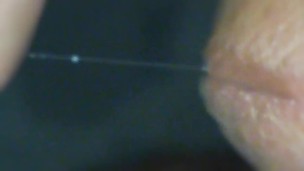 Penis hole is fish mouth