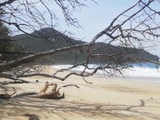 Sun, beach, breeze and me.