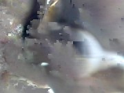 3 gozadas no cú e 5 litros de squirtig sem parar 15/16