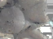 3 gozadas no cú e 5 litros de squirtig sem parar 16/16