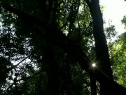 Black Bouncing BIG ASS CLAPPING in Kitchen with Sound - Cami Creams 1/16