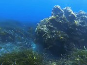 Public beach. Nude snorkeling / Underwater. Save the ocean and have fun! 9/16