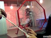 Daddy An Li kicks electrocutes and kicks balls 3/16