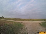 I empty the balls in my blue thong outdoors 3/16