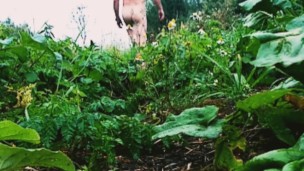Strip naked in field